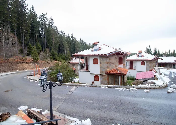 Ski Villa In Pamporovo Forest