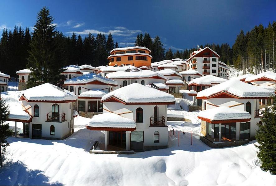 In Forest Chalet *
