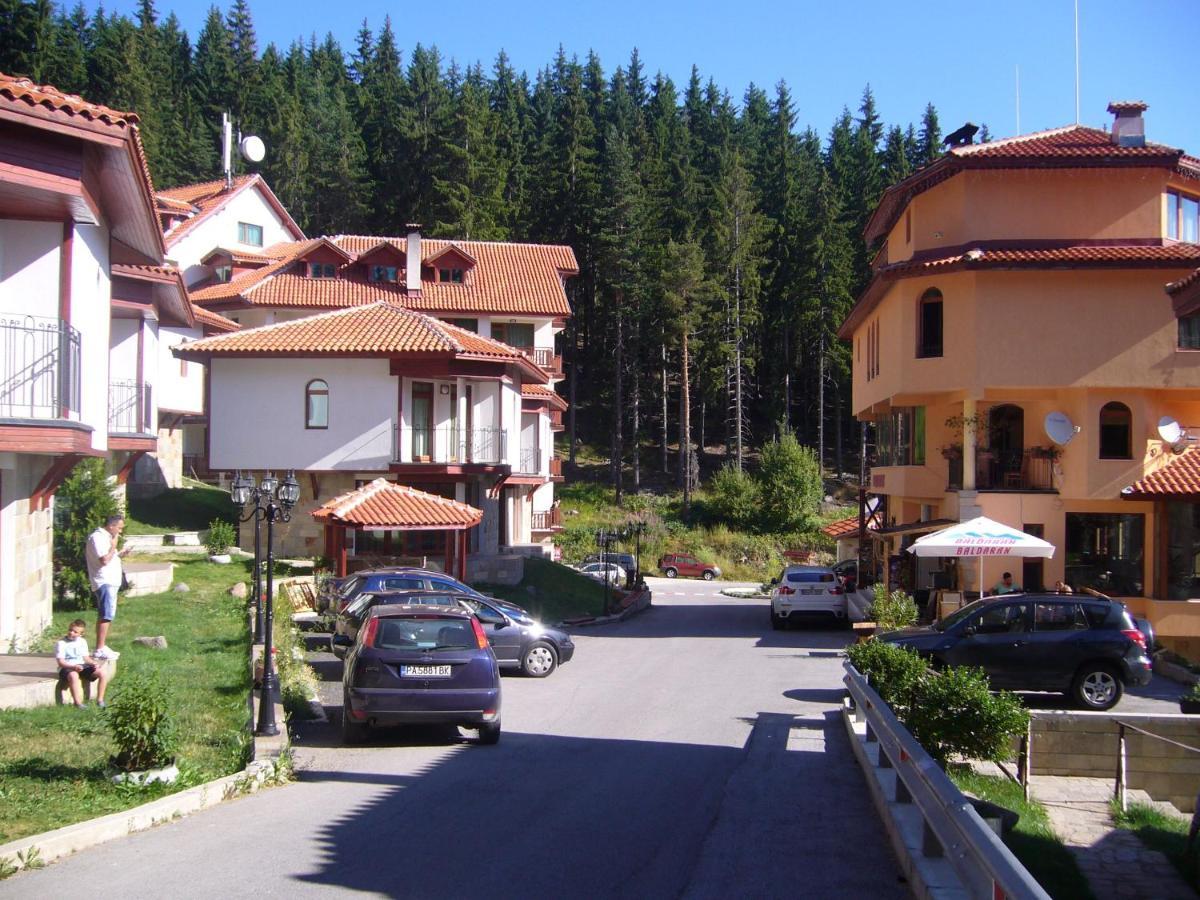 In Forest Chalet