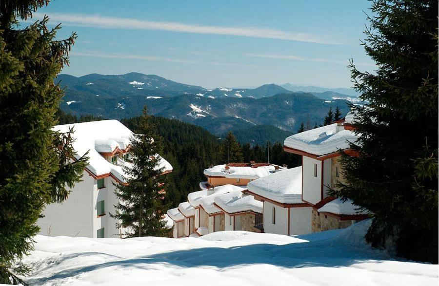 In Forest Chalet Pamporovo